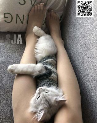 无间电视剧40集完整版免费观看_剧情片在线观看电视
