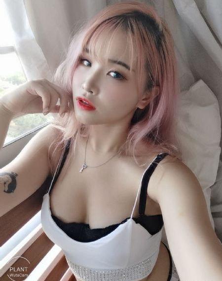 梦想成为魔法少女动画免费观看_DVD电影完整版在线观看