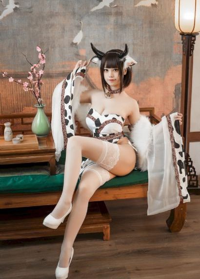 电视剧螳螂_HD免费在线播放