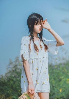 黑狐之风影全集免费_BD英语高清迅雷在线观看
